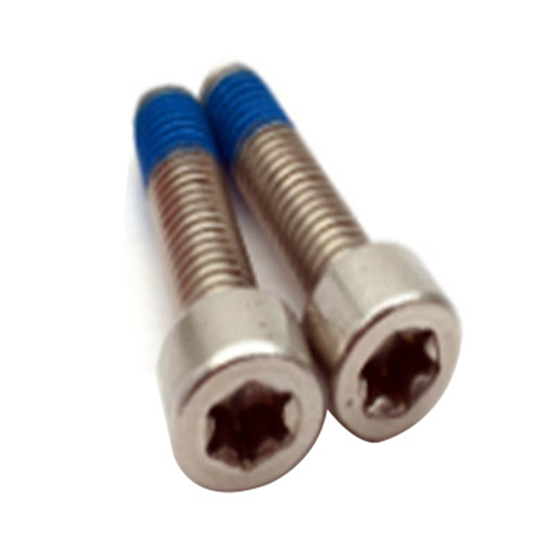 ISO14579 تصميم جديد M6 توركس مع مسمار طبي مطلي بالنايلون ISO14579 تصميم جديد M6 توركس مع مسمار طبي مطلي بالنايلون