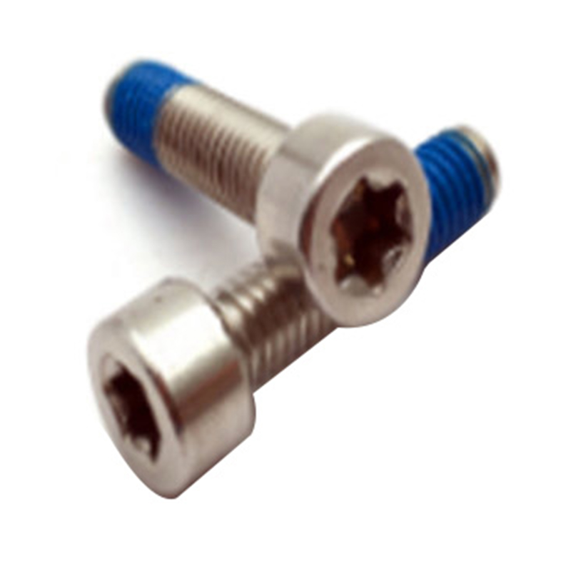 ISO14579 تصميم جديد M6 توركس مع مسمار طبي مطلي بالنايلون ISO14579 تصميم جديد M6 توركس مع مسمار طبي مطلي بالنايلون